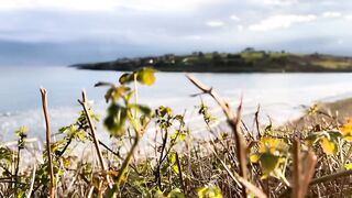 Having a quiet afternoon in Cork, Ireland.