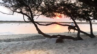 Sunset in Gili Trawangan, Summer 2026.