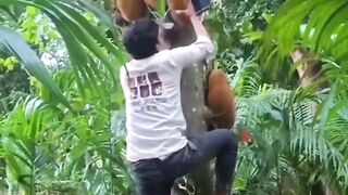 18+fun #Funny #video! #viralvideo #funny #hindi viral #United #States #America new |