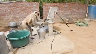 Funny comedy 30