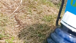 Sprayer elektrik 16 liter