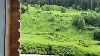 Enjoy the beautiful views of kashmir