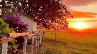 Peaceful Countryside Sunset 🌅 | Aesthetic Rural Life & Relaxing Nature Views