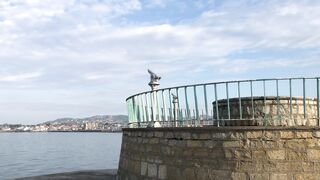 Dún Laoghaire Harbour in 360°
