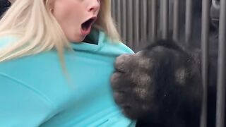Grizzly Bear Grabs Her Hoodie