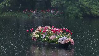 🪷🥀🌹🪻🌷🌼🌻🌺🍁💐