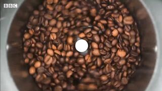 The effects of coffee on your body