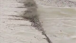 #Funny #video! #viralvideo #funny #hindi viral #United #States #America new | Bangladeshi us