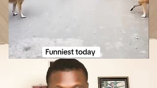 #Funny #video! #viralvideo #funny #hindi viral #United #States #America new | 20