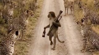 #Funny #video! #viralvideo #funny #hindi viral #United #States #America new | 21