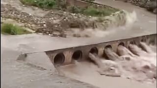 #Funny #video! #viralvideo #funny #hindi viral #United #States #America new | 24