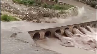 #Funny #video! #viralvideo #funny #hindi viral #United #States #America new | 25