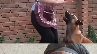 #Funny #video! #viralvideo #funny #hindi viral #United #States #America new | 26