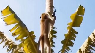 #Funny #video! #viralvideo #funny #hindi viral #United #States #America new | 29