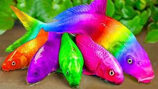 Stop Motion ASMR - Catch Pretty Aquarium Fish in a Small Pond 🐢🐟 | Baby Turtles, Eels, Pencil Fish & Colorful Guppies