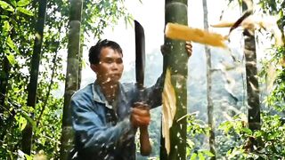 Bohon bambu