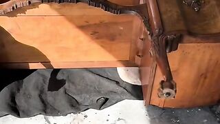 Diy vintage restoration