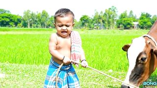 কৃষক জীবনের ভাইরাল ২০টা হাসতে হাসতে পেট ব্যথা!