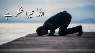 Islamic video Mrwhen Nice 2 Febspot video of 2