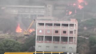 Algeria forest fires