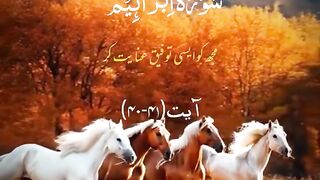 Islamic Video 117