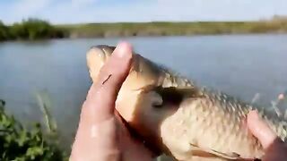 рыбалка 2