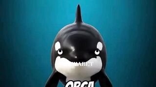Satu Satunya Hewan Yang PaUs Orca Takutkan!