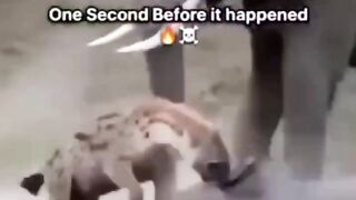 #Funny #video! #viralvideo #funny #hindi viral #United #States #America new | 38