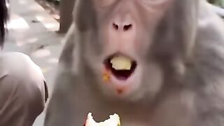 #Funny #video! #viralvideo #funny #hindi viral #United #States #America new | 39