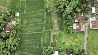 Flying a Drone