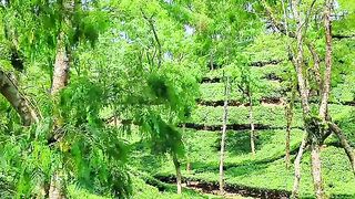 You can find happiness in srimongol
