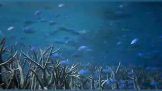 Beauty of nature 71