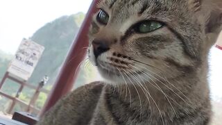 Santai ala si mpus
