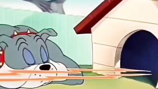 Tom Writes His Will! 😂 | Spike Doghouse Beatdown | Solid Serenade Comedy