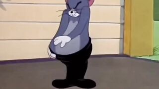 Clip 1: Tom Disguises as a Circus Seal  SEO Title: Tom Pretends to Be an Escaped Circus Seal | Little Runaway Tom & Jerry Classic