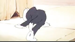 Tom vs Meathead Alley Cat Duel | Jerry Outsmarts Two Cats | Sufferin' Cats!