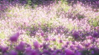 Beautiful Wildflowers Blooming Beneath the Mountain Sky 🌼🏔️