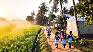 How beautiful is the rural environment of Bangladesh?