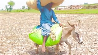 jara jara funny video United States America 12
