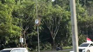 Mobil indonesia