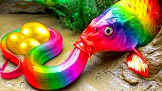 Finding ornamental fish in the river, crocodiles, betta fish, big fish, Glass Fish, Koi Fish Stop Motion