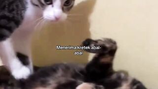 kretek abal abal
