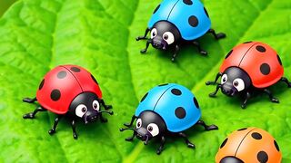 Kids Education Video 5