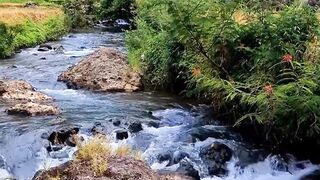 Relaxing Waterfall Sounds in Tropical Forest | Nature Ambience for Sleep, Study & Stress Relief