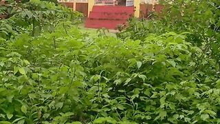#मंदिर कामातलं💒💒💒