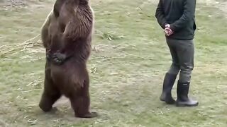 When a mischievous zoo bear decides to steal the keeper's cap