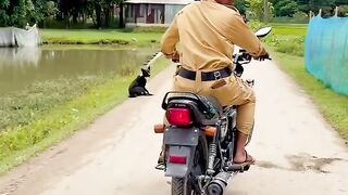 THIS VIDEO WILL SURELY MAKE YOU LAUGH.VERY FUNNY INDEED!!