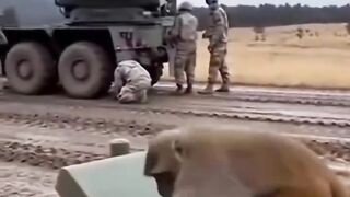 jara jara funny video United States America 16