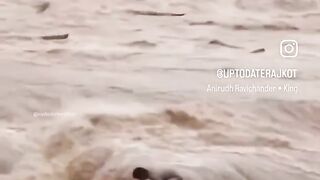 Natural bonding between humans and forest animal