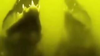 jara jara funny video United States America 21